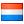 Dutch Dutch