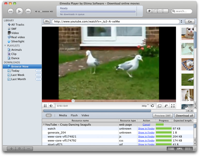Flash video flv разрешения изображения